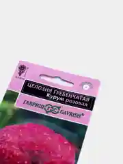 Целозия "Курум" розовая, семена, цветы