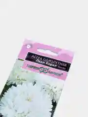 Семена астра "Леди Коралл", белая
