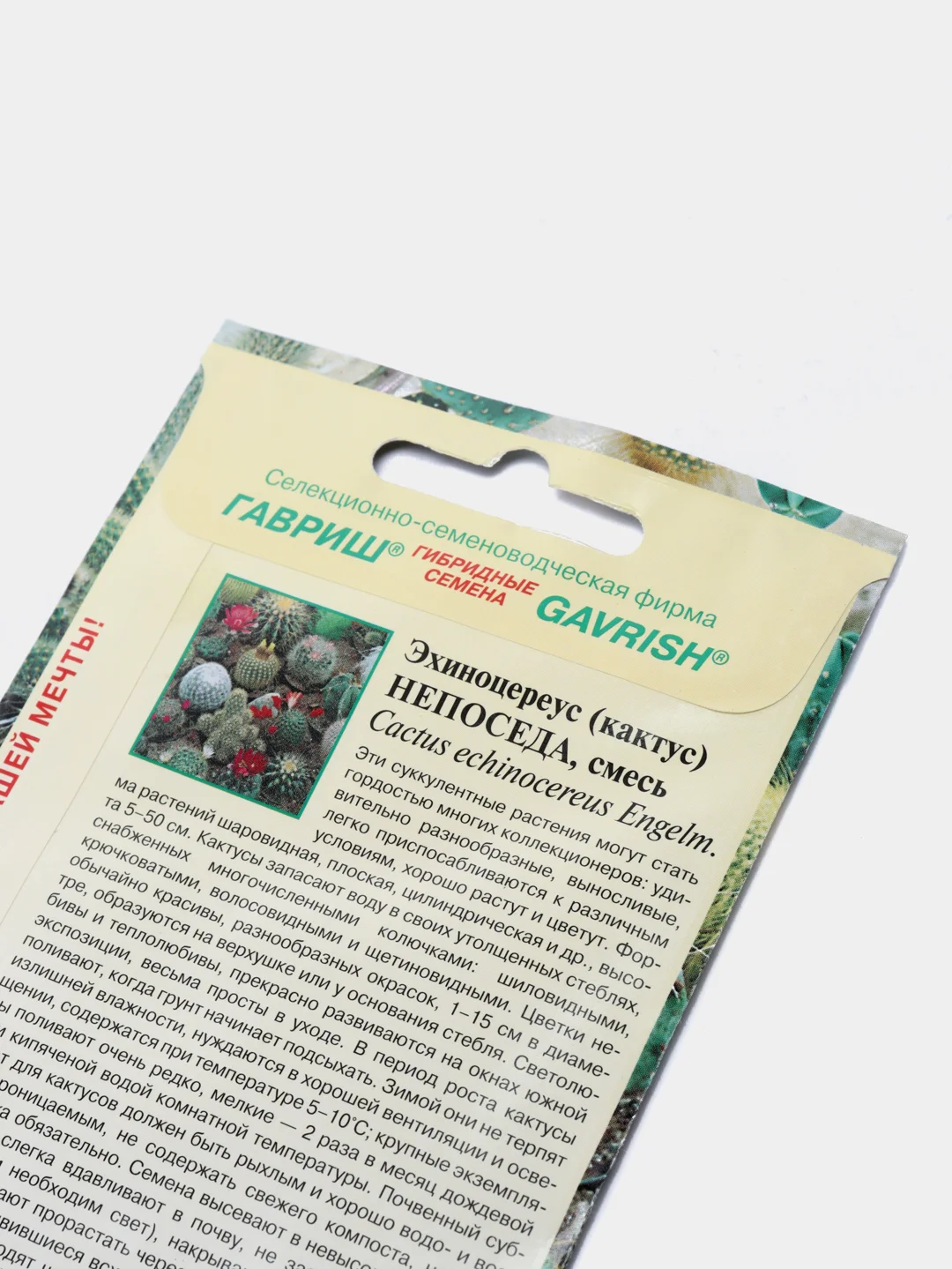 Кактус Эхиноцереус Непоседа (семена,цветы)