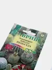 Кактус Эхиноцереус Непоседа (семена,цветы)