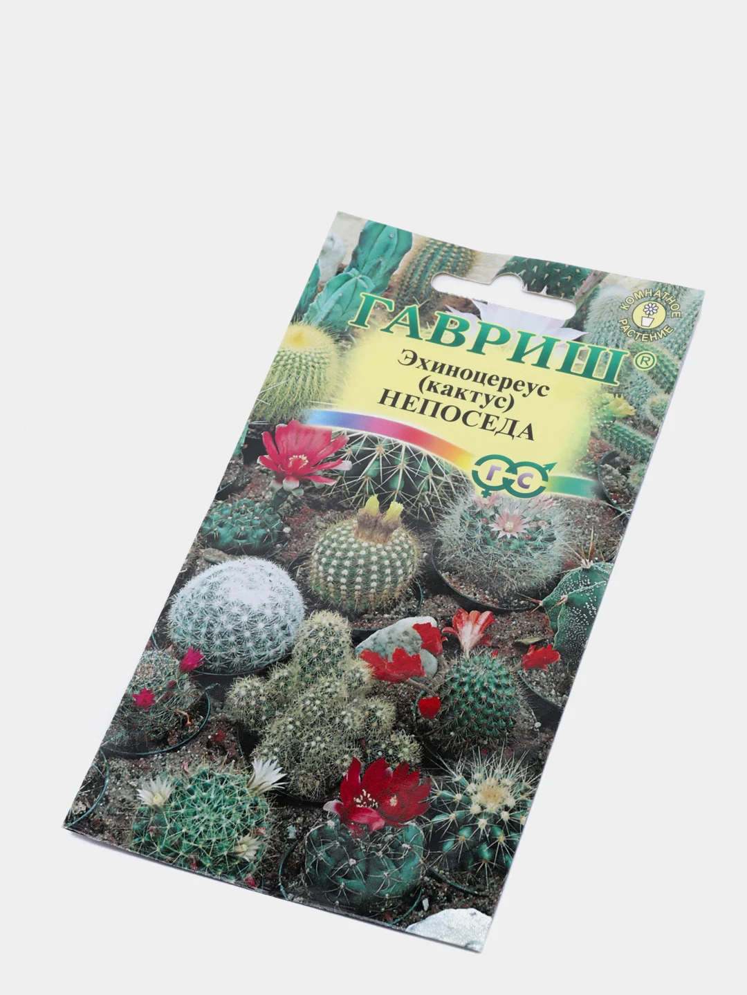 Кактус Эхиноцереус Непоседа (семена,цветы)