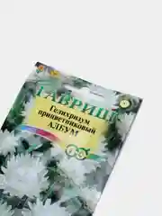 Семена гелихризум "Албум"