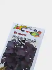 Семена базилика "Рубиновый карлик"