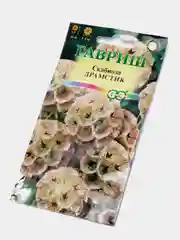 Семена Скабиоза Драмстик