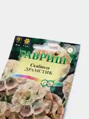 Семена Скабиоза Драмстик