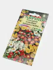 Гелихризум "Лаковые миниатюры", семена