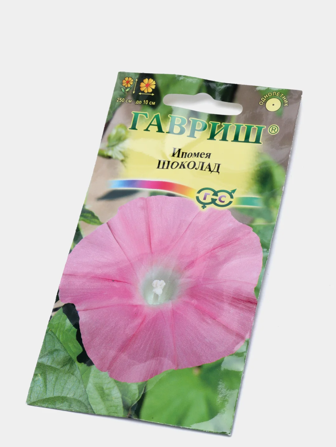 Семена цветов Ипомея "Шоколад"