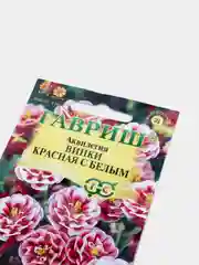 Аквилегия "Винки красная с белым", семена, цветы