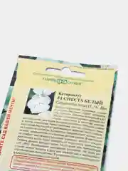 Семена катарантуса "Сиеста белый"