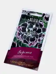 Гвоздика Ворожея (семена,цветы)