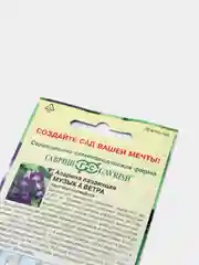 Азарина Музыка ветра (семена,цветы)