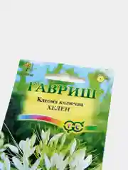 Семена цветов Клеома "Хелен"