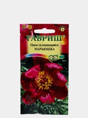 Пион Марьюшка (семена,цветы)