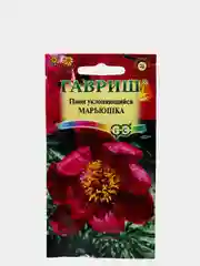 Пион Марьюшка (семена,цветы)
