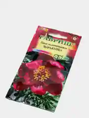 Пион Марьюшка (семена,цветы)