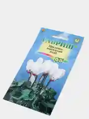 Цикламен Рой персидский (семена,цветы)