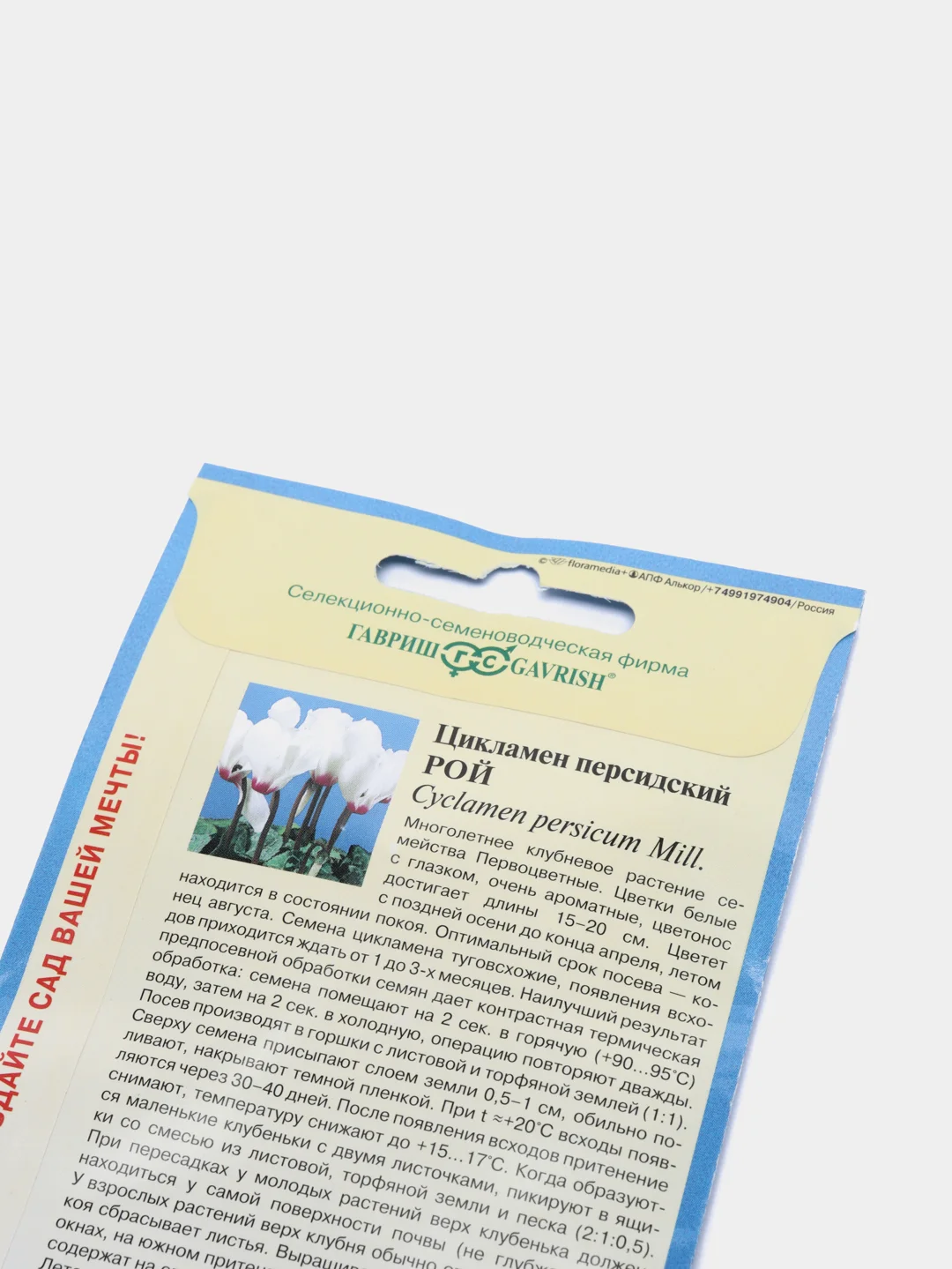 Цикламен Рой персидский (семена,цветы)