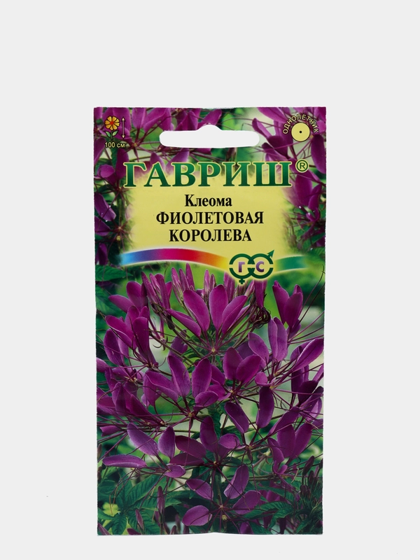 Клеома Фиолетовая королева (семена,цветы)
