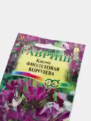 Клеома Фиолетовая королева (семена,цветы)