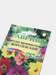 Портулак Королевский (семена,цветы)