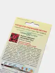 Семена вербена "Люцифер Ред"