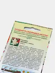 Сальвия Феникс (семена,цветы)