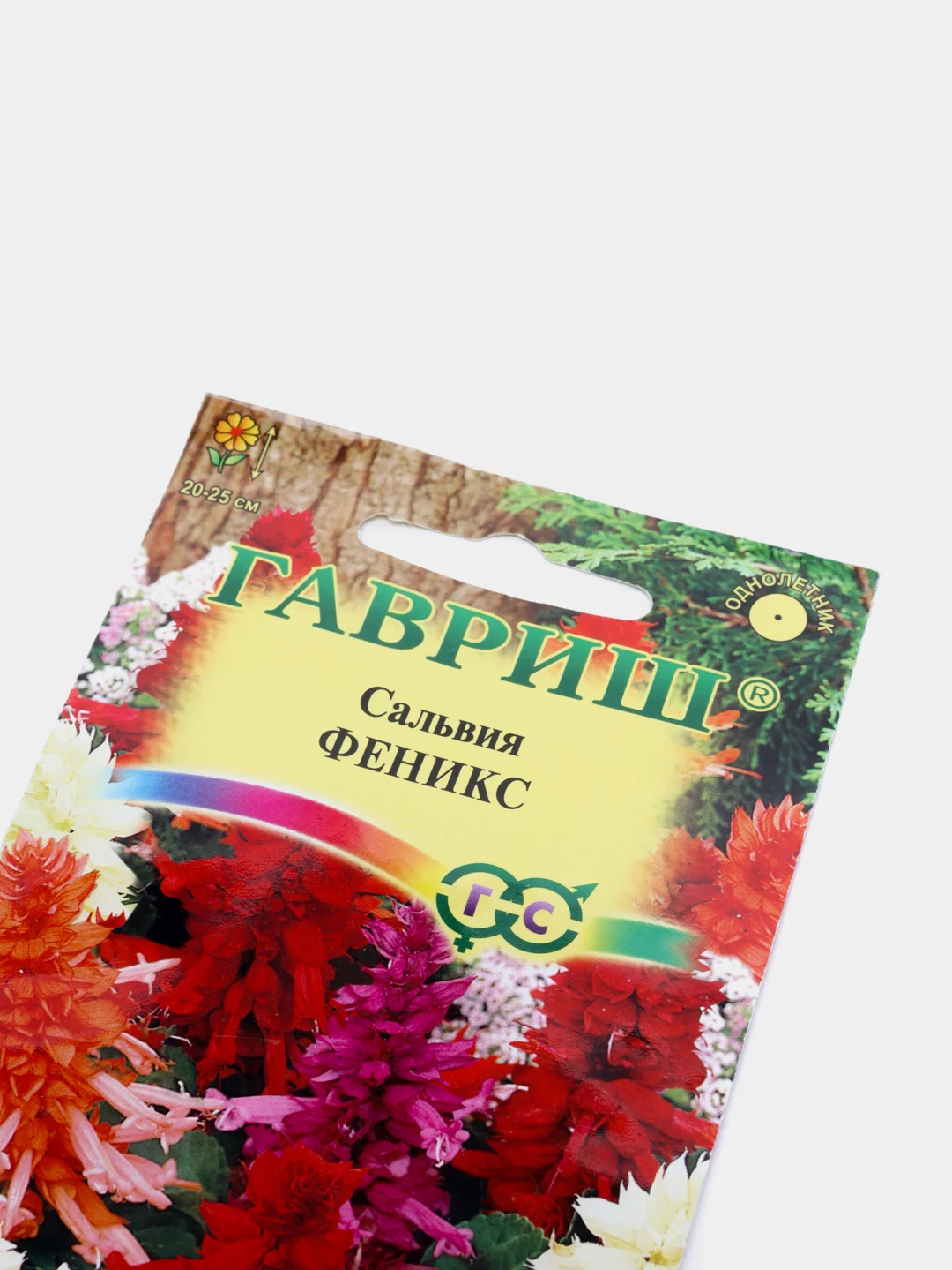 Сальвия Феникс (семена,цветы)