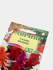 Сальвия Феникс (семена,цветы)