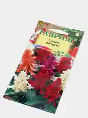 Сальвия Феникс (семена,цветы)