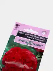 Целозия Курум красная (семена,цветы)