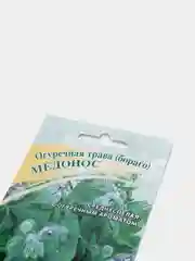 Огуречная трава бораго Медонос (семена,цветы)