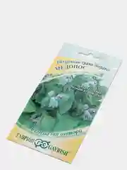 Огуречная трава бораго Медонос (семена,цветы)