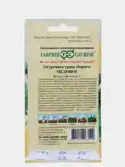 Огуречная трава бораго Медонос (семена,цветы)