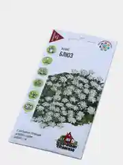 Семена цветов Анис "Блюз"