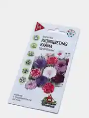 Василек "Разноцветная кайма" семена, цветы