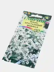 Ясколка "Хрустальный водопад", семена
