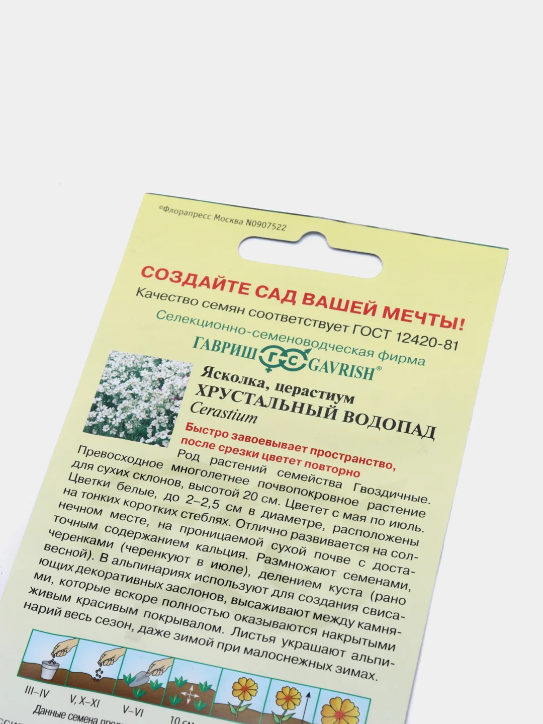 Ясколка "Хрустальный водопад", семена