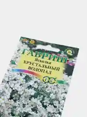 Ясколка "Хрустальный водопад", семена