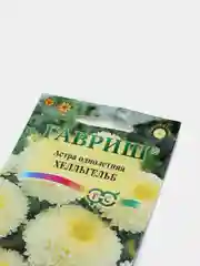 Астра Хелльгельб (семена,цветы)