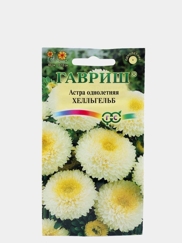 Астра Хелльгельб (семена,цветы)