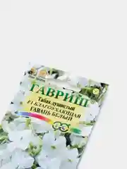 Семена цветов Табак "Благоухающая гавань", белый