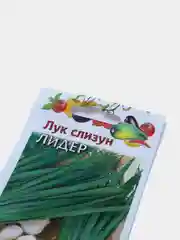 Лук слизун Лидер (семена)