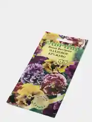 Виола Махровое кружево смесь виттрока (семена,цветы)