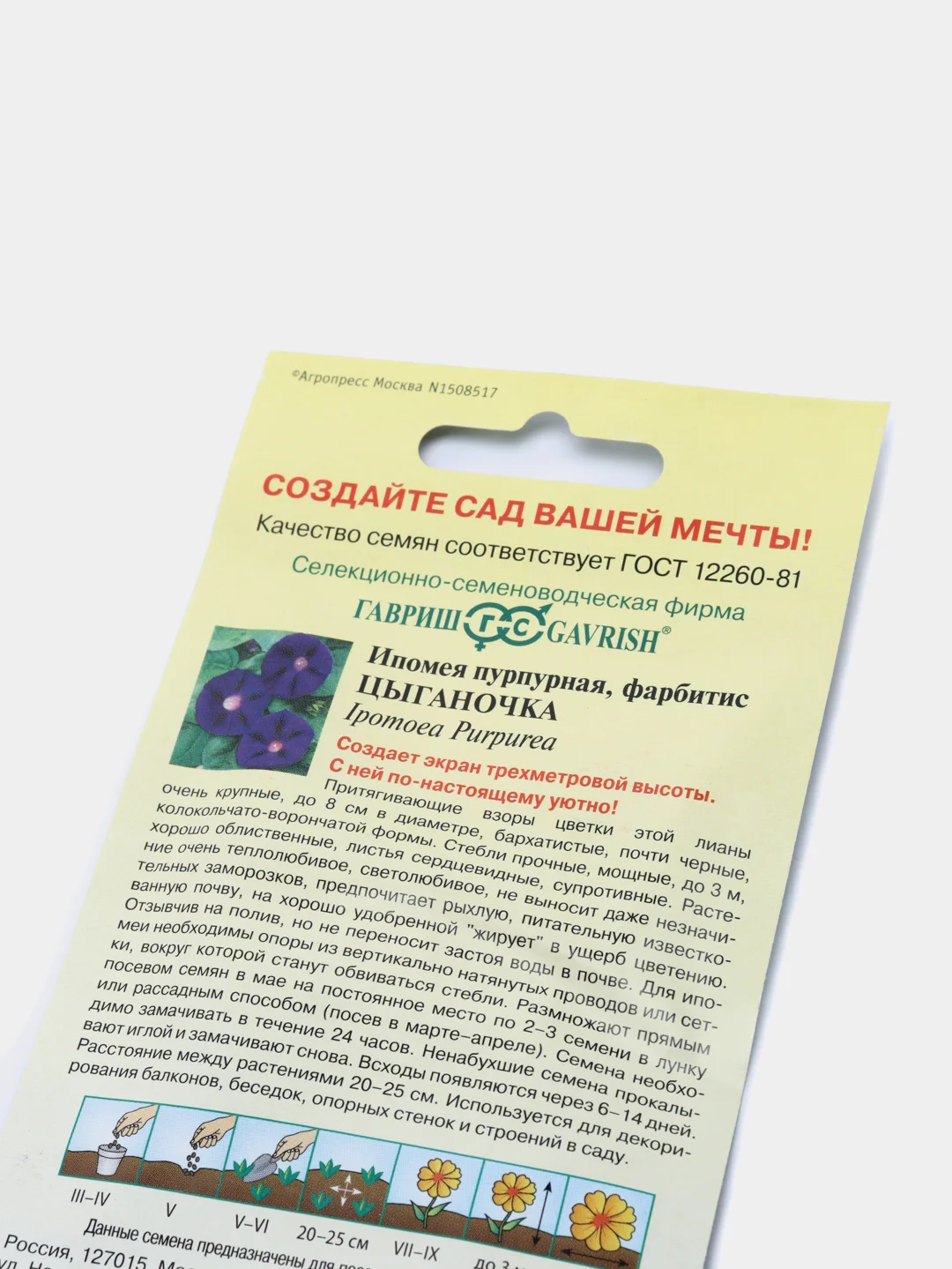 Ипомея Цыганочка (семена,цветы)