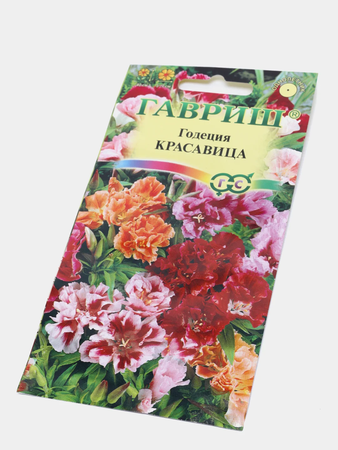 Годеция Красавица (семена,цветы)