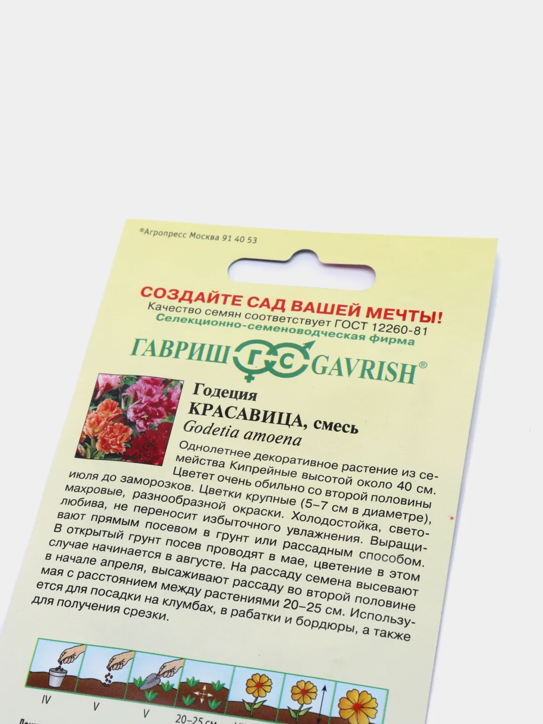Годеция Красавица (семена,цветы)