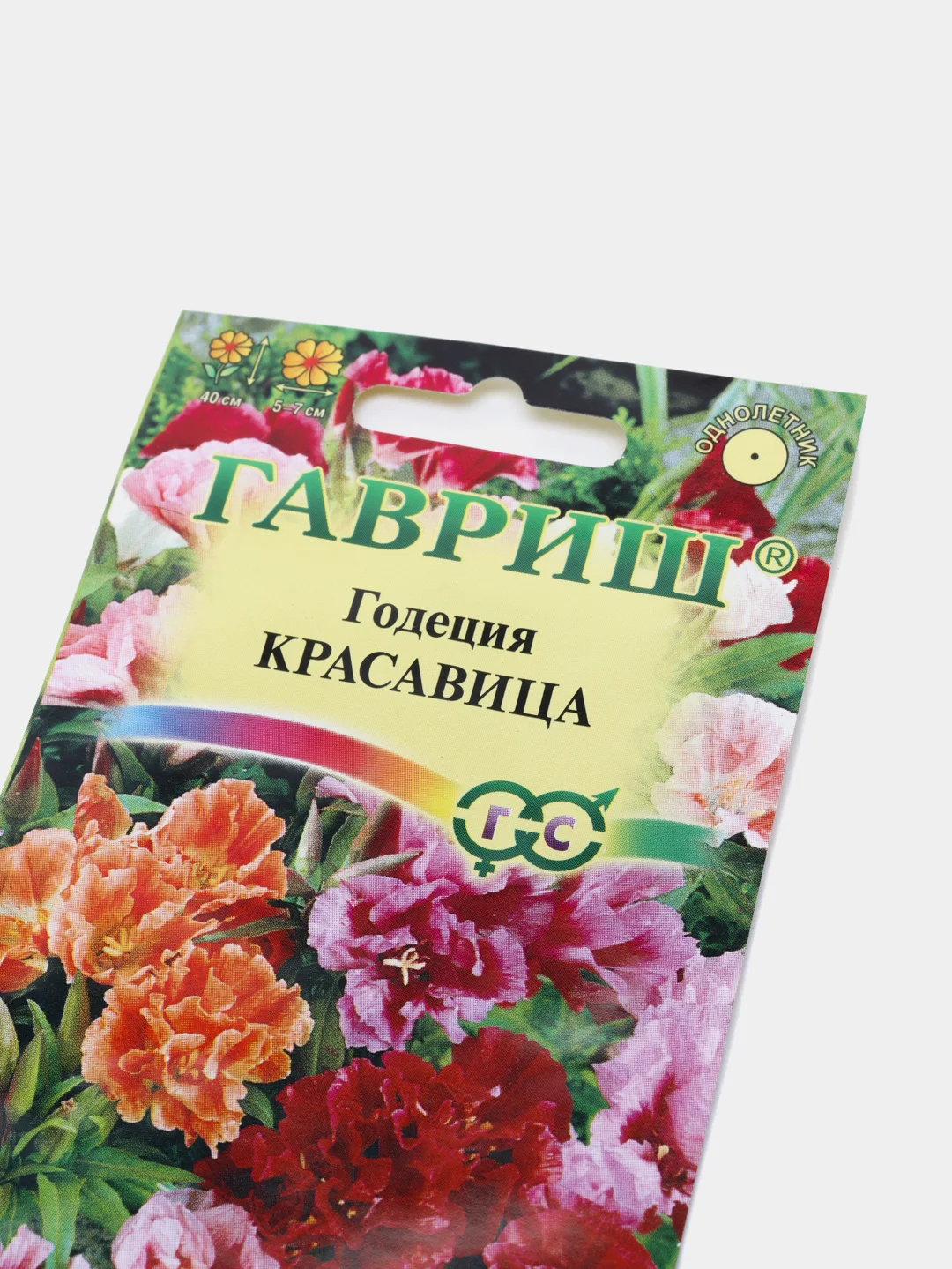 Годеция Красавица (семена,цветы)