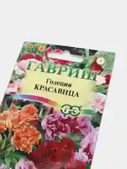 Годеция Красавица (семена,цветы)
