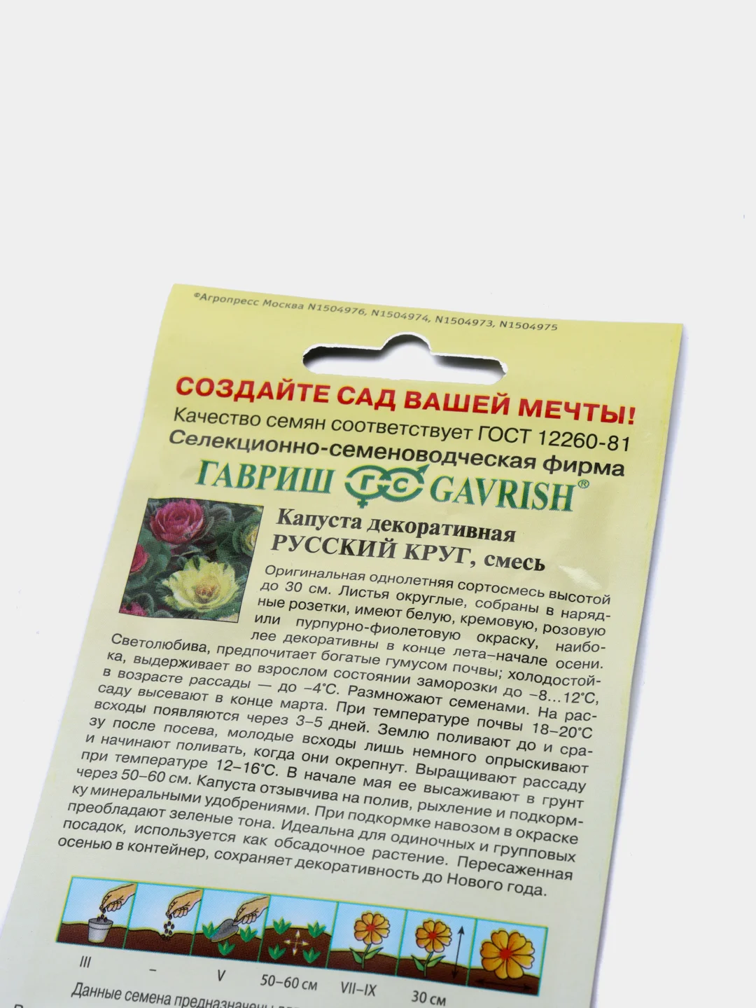 Капуста декоративная Русский круг (семена,цветы)