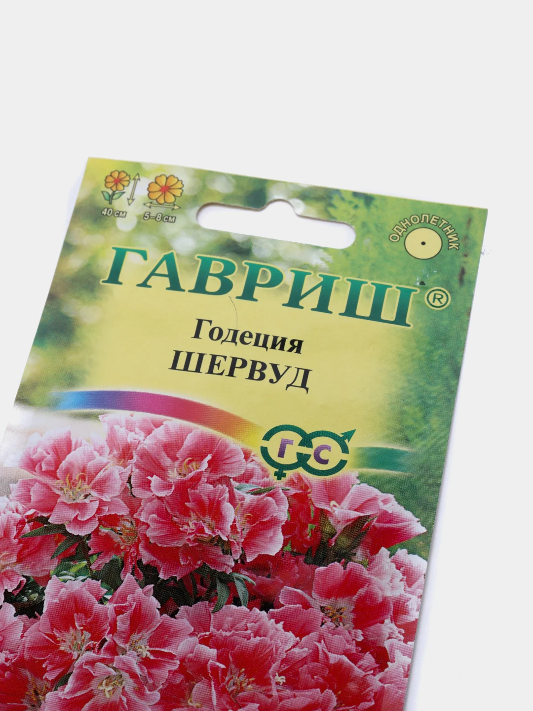 Годеция Шервуд, семена, цветы